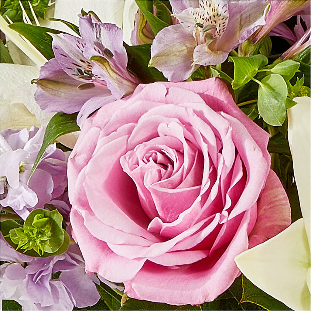 Daydreamer Bouquet –  Carisma Florists, Mississauga ON
