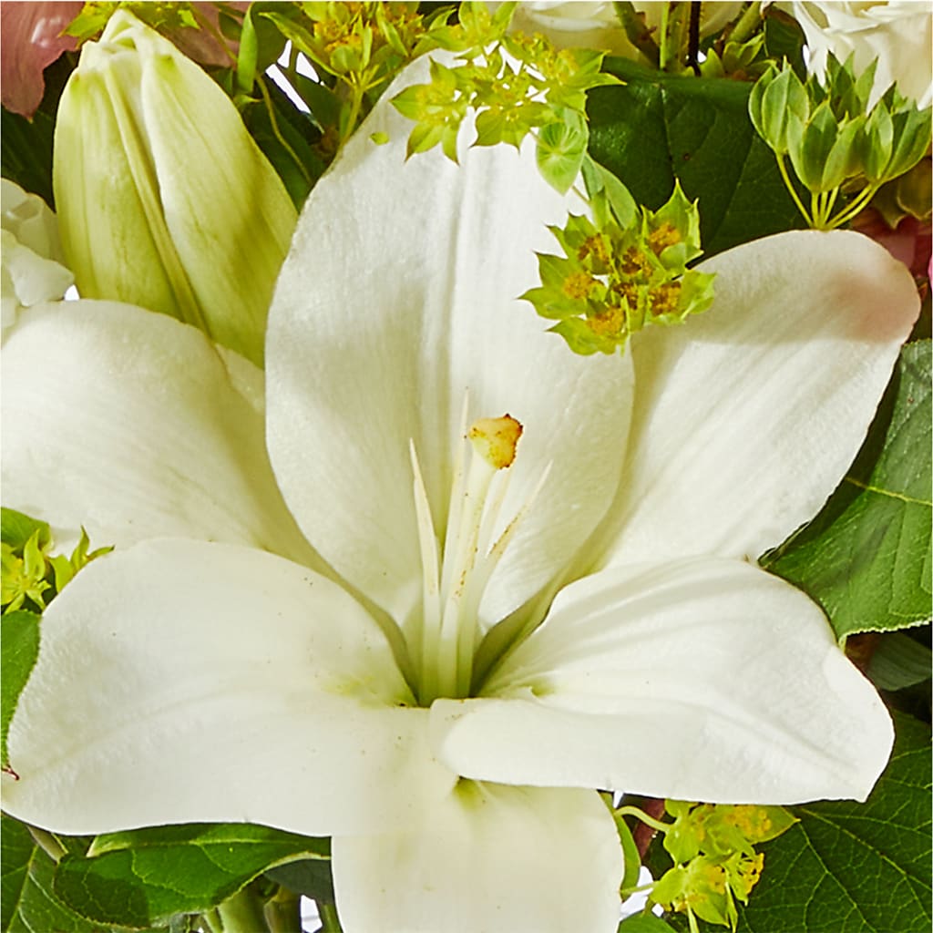 Fondly Bouquet –  Carisma Florists, Mississauga ON