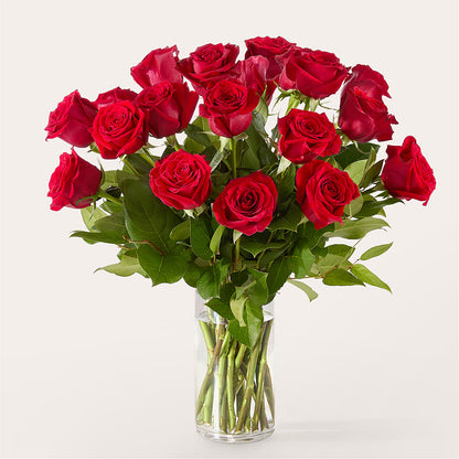 The One Red Rose Bouquet –  Carisma Florists, Mississauga ON