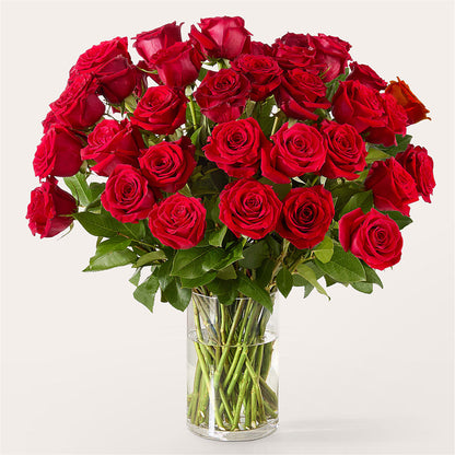 The One Red Rose Bouquet –  Carisma Florists, Mississauga ON