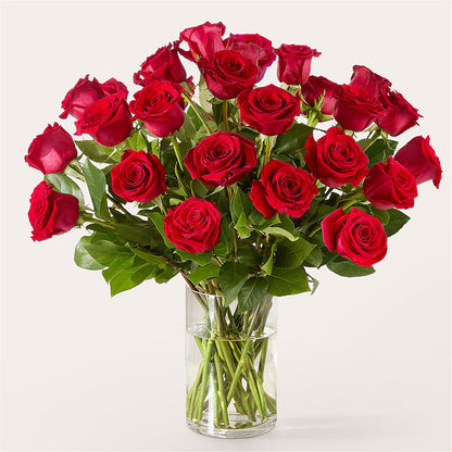 The One Red Rose Bouquet –  Carisma Florists, Mississauga ON