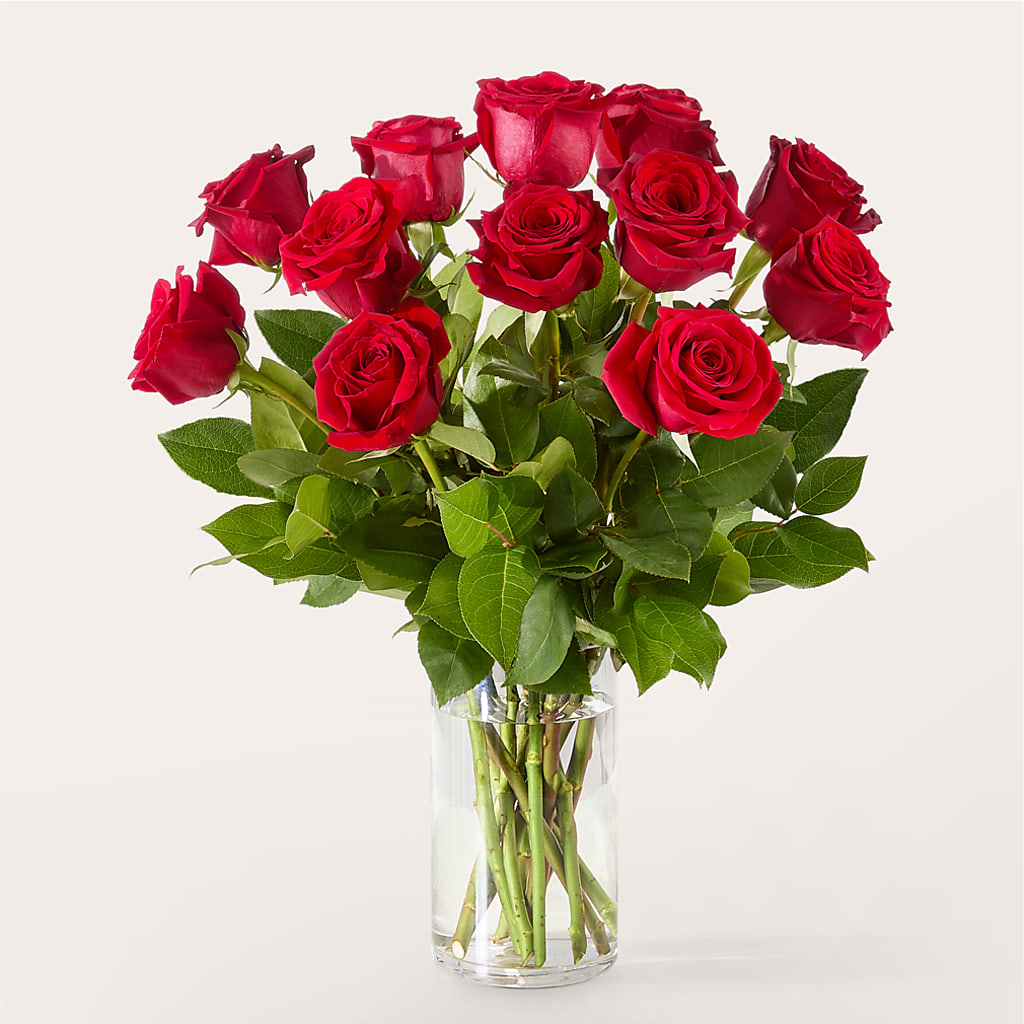 The One Red Rose Bouquet –  Carisma Florists, Mississauga ON