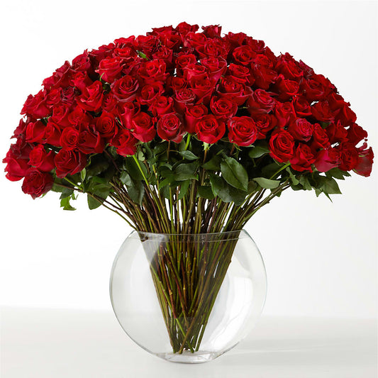 The Idealist –  Carisma Florists, Mississauga ON
