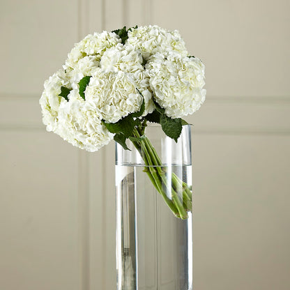 White Hydrangea Hand-Tied Bouquet –  Carisma Florists, Mississauga ON