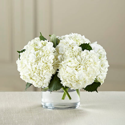 White Hydrangea Bouquet –  Carisma Florists, Mississauga ON