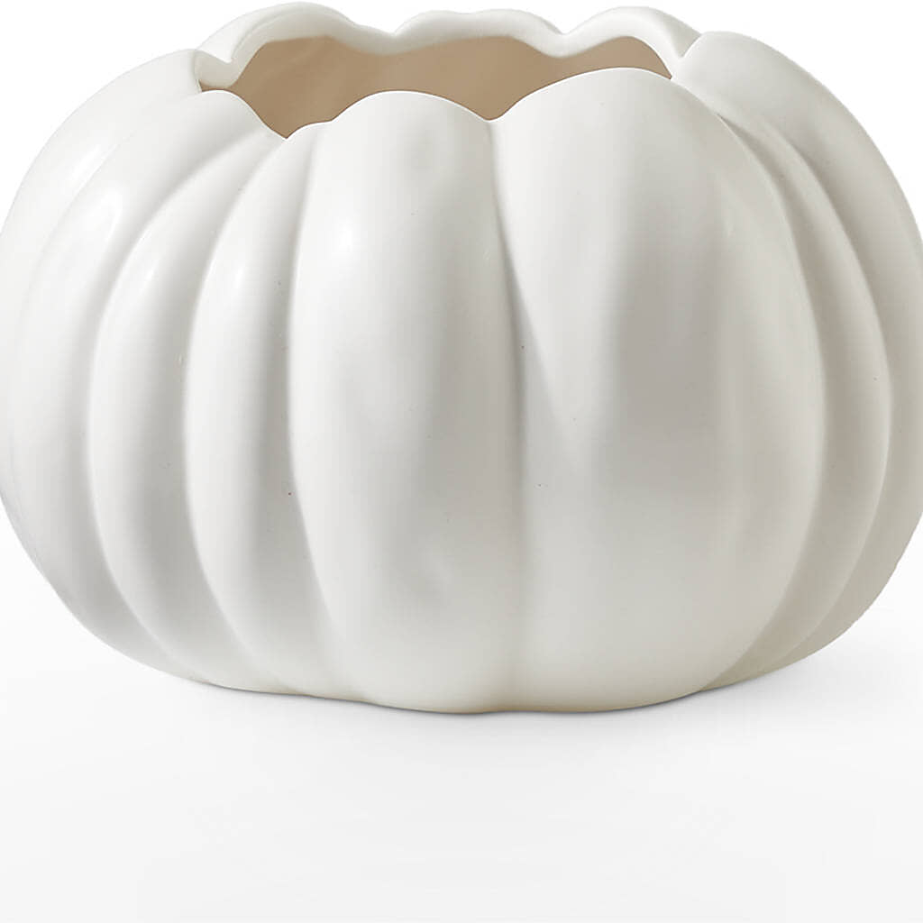 Autumn Air Pumpkin Bouquet –  Carisma Florists, Mississauga ON