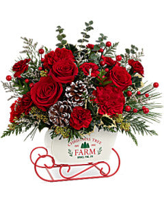 Teleflora's Snow What Fun Bouquet