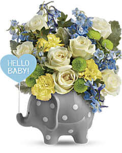 Teleflora's Hello Sweet Baby - Blue