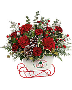 Teleflora's Snow What Fun Bouquet